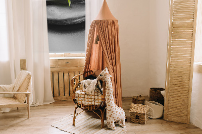 Modern roller blind Orchid on the stones