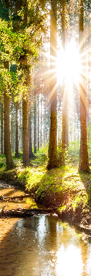 Modern roller blind with a forest sunlight print