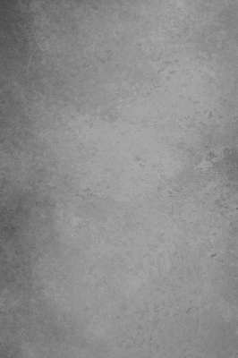 Modern roller blind Gray smoke