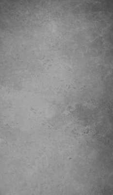 Modern roller blind Gray smoke