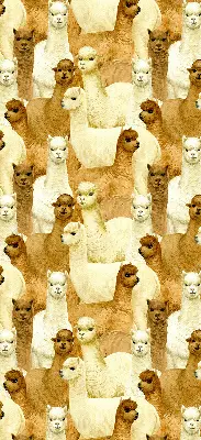 Modern roller blind with an alpacas herd pattern