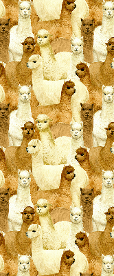 Modern roller blind A herd of alpacas