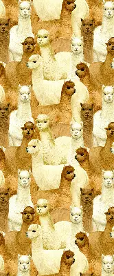 Modern roller blind with an alpacas herd pattern