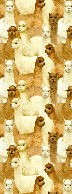 Modern roller blind A herd of alpacas