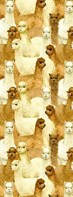Modern roller blind with an alpacas herd pattern
