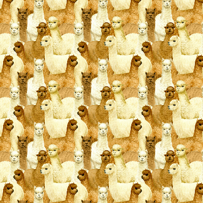 Modern roller blind A herd of alpacas