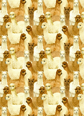 Modern roller blind A herd of alpacas