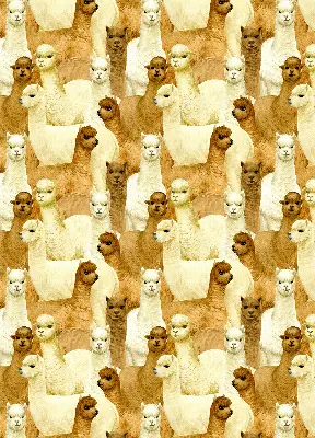 Modern roller blind with an alpacas herd pattern