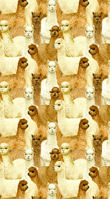 Modern roller blind A herd of alpacas