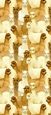 Modern roller blind A herd of alpacas