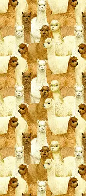 Modern roller blind with an alpacas herd pattern