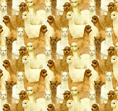Modern roller blind with an alpacas herd pattern