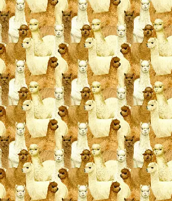 Modern roller blind with an alpacas herd pattern