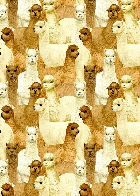 Modern roller blind with an alpacas herd pattern