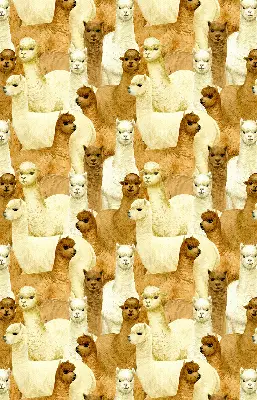 Modern roller blind with an alpacas herd pattern