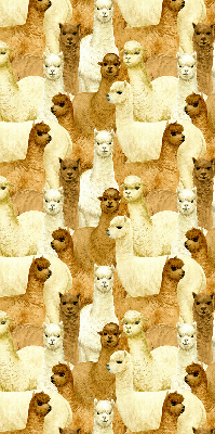 Modern roller blind A herd of alpacas