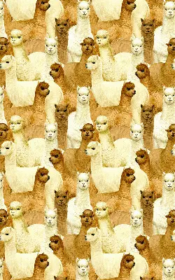 Modern roller blind with an alpacas herd pattern