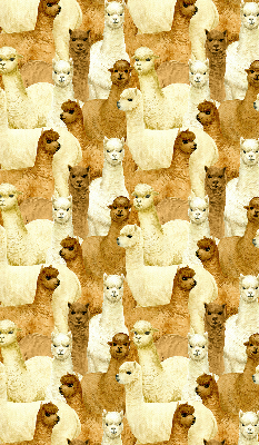 Modern roller blind A herd of alpacas