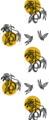 Modern roller blind with a yellow fruits and circles pattern