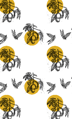 Modern roller blind Fruits and yellow circles