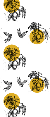 Modern roller blind Fruits and yellow circles