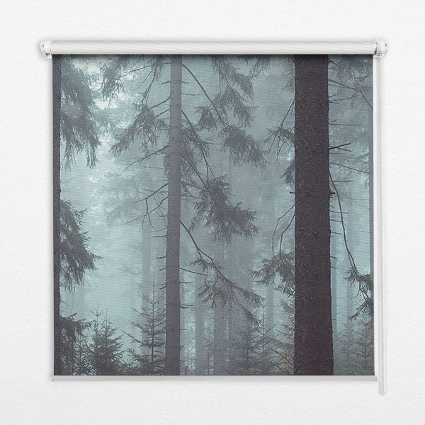 Roller blind for large window Forest at night