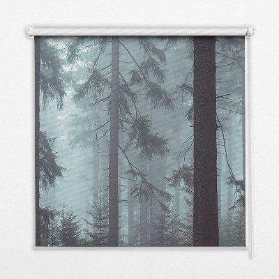 Roller blind for large window featuring a forest at night