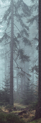 Roller blind for large window Forest at night