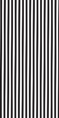 Modern roller blind Black and white stripes