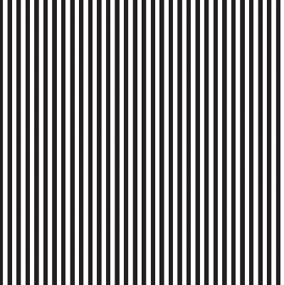 Modern roller blind Black and white stripes