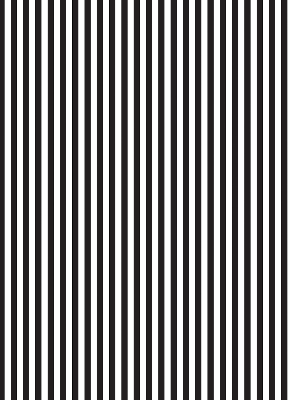 Modern roller blind Black and white stripes