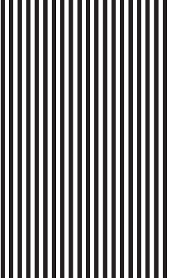 Modern roller blind Black and white stripes