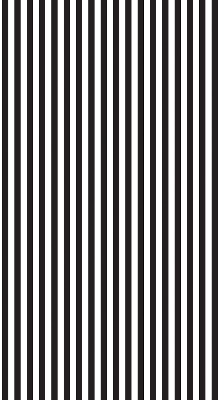 Modern roller blind Black and white stripes