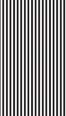 Modern roller blind Black and white stripes
