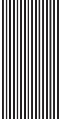 Modern roller blind Black and white stripes