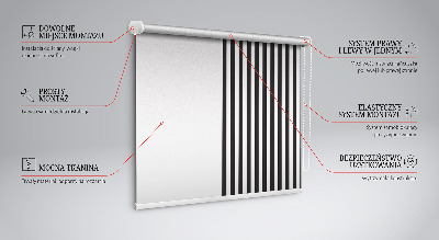 Modern roller blind Black and white stripes
