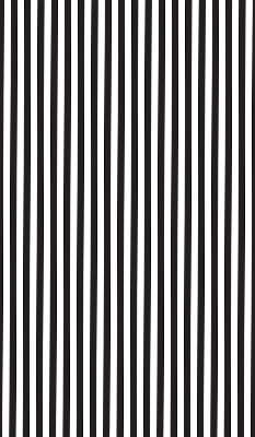 Modern roller blind Black and white stripes