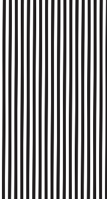 Modern roller blind Black and white stripes