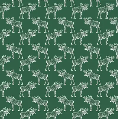 Roller blind for large window in green moose