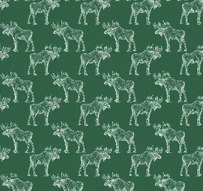 Roller blind for large window in green moose