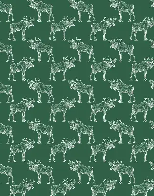 Roller blind for large window in green moose