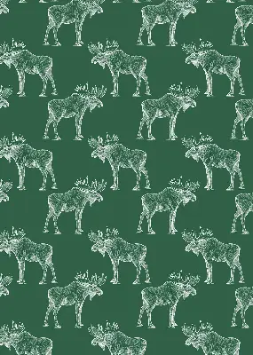 Roller blind for large window in green moose