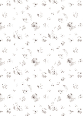 Fabric roller blind Planets