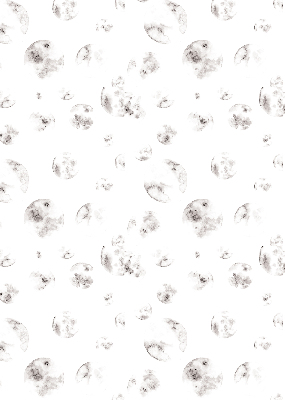 Fabric roller blind Planets