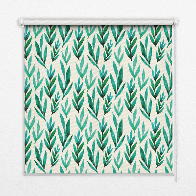 Modern roller blind Plants