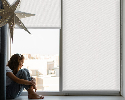Roller blind for large window White