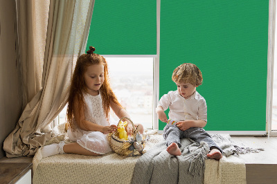 Roller blind for large window Green