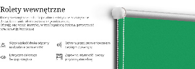 Roller blind for large window Green