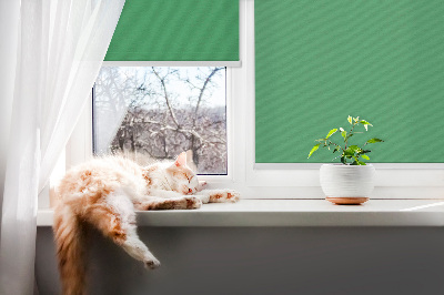 Roller blind for large window Green