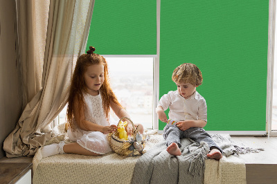 Fabric roller blind Green